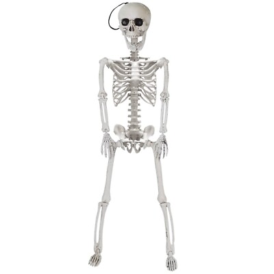 #ad TWO 24” Halloween Decoration Pose N Stay Full Body Skeleton Plastic Bone $19.95
