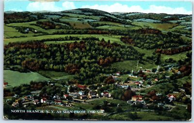 #ad Postcard North Branch New York as Seen from the Air USA $3.46