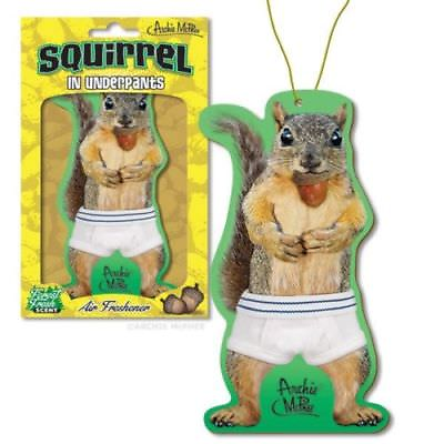 #ad SQUIRREL IN UNDERPANTS DELUXE AIR FRESHENER Fresh Forest Scent $4.99