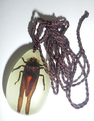 #ad Insect Necklace Red Cicada Huechys sanguine Specimen YD07 Glow in the Dark $12.00