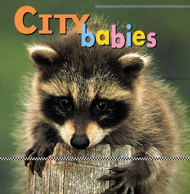 #ad City Babies by Kristen McCurry English Board Book Book $11.65