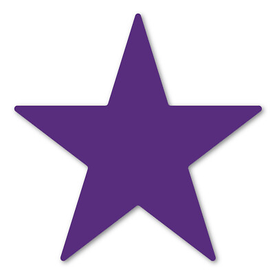 #ad Purple Star Magnet $2.99