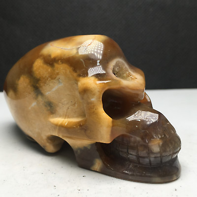 #ad 156g Natural Crystal specimen. Agate . Hand carved.The Exquisite Skull.Healing $44.99