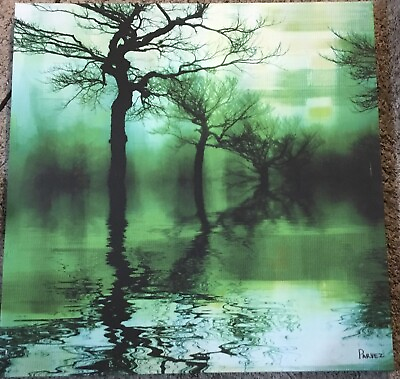 #ad Artist Parvez Taj Fine art print on canvas 24quot; x 24quot; Misty Green Lake $60.00