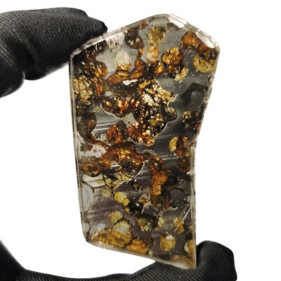 #ad 20.6G SERICHO pallasite Meteorite slice from Kenya TA420 $59.84