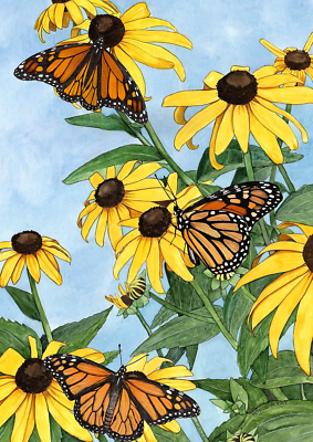 #ad 1112133 Coneflowers and Monarchs Butterfly Flag 12X18 Inch Double Sided Butterfl $8.98