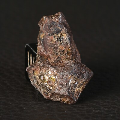 #ad Meteorite Nwa 15738 Of 744 G Pallasite Individual #C46.04 22 $123.82