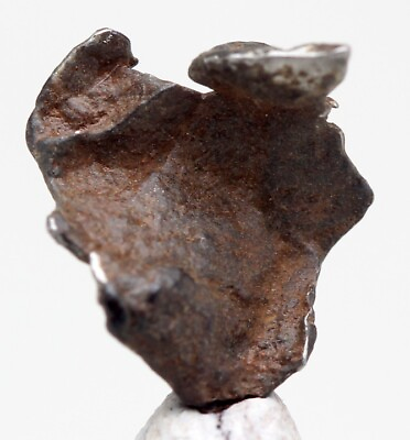 #ad IMILAC Iron Meteorite Specimen Pallasite Skeleton Meteor ATACAMA DESERT CHILE $19.99