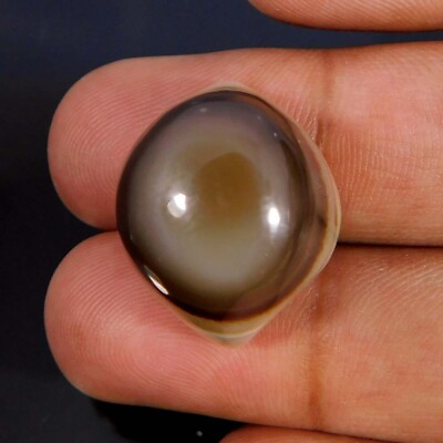 #ad Wholesale 38.20Cts. Natural Fabulous Eye Agate Fancy Cabochon Loose Gemstone $13.29