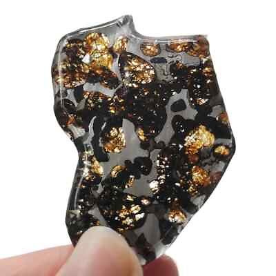 #ad 14g SERICHO pallasite Meteorite slice from Kenya TA434 $39.00