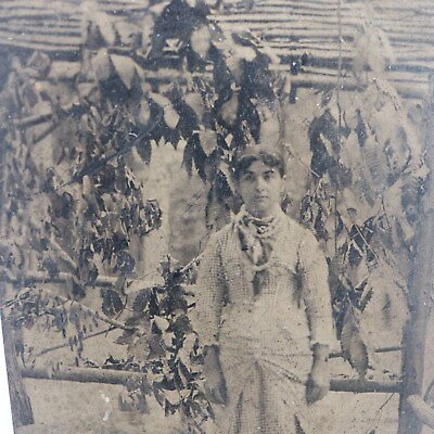 #ad Antique Outdoor Tintype Photo of Beautiful Young Woman in Garden $52.50