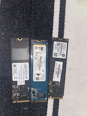 #ad New amp; Formatted WD Samsung SK Hynix Kioxia 256Gb PCIe NVMe SSD M.2 2280 $17.00