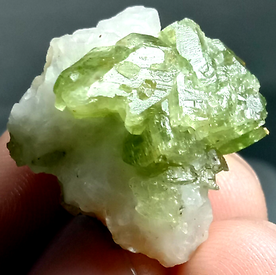 #ad 62 carat Terminated Green Diopside crystal specimen from Badkhshan Afghanistan $29.99
