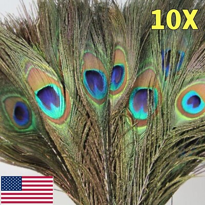 #ad 10X PEACOCK TAIL FEATHERS NATURAL 24 26CM INCHES LONG FOR BOUQET MILLINERY CRAFT $2.80