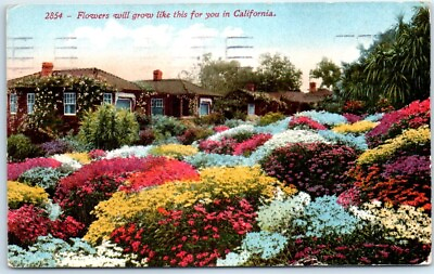 #ad Postcard Flowers Will Grow Like this for You in California USA $8.39