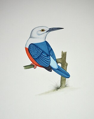 #ad Eastern Bluebird Handmade Fine Miniature Painting Wall Decor Art $37.49