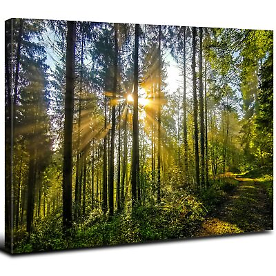 #ad Green Forest Canvas Wall Art Sunrise Nature Mountain Landscape Picture Wall D... $98.94