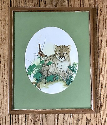 #ad Vintage Framed Matted F Massa Baby Cougar Cub Print Animal Wildlife Picture $40.00