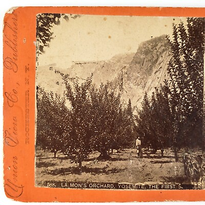#ad Lamon#x27;s Orchard Yosemite Valley Stereoview c1870 First Pioneer Apple Trees A2548 $25.95