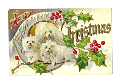 #ad Cute White Fluffy Puppy Dogs amp; Holly Vintage Embossed Christmas Postcard h641 $9.99