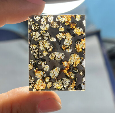 #ad 1PC random SERICHO pallasite Olive meteorite iron slice from Kenya Meteorites $89.99