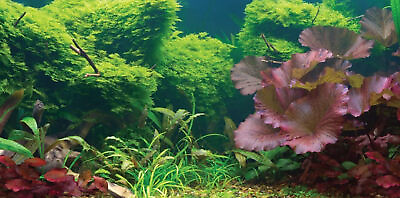#ad Aquatic Creations Tropical Static Cling Aquarium Background $11.99