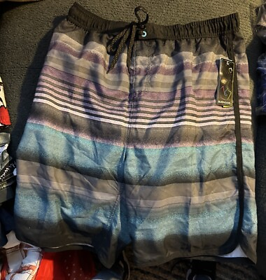 #ad Burnside Mens Stripe Swim Board Shorts Sz 32 M Gray Surf back Pocket NWT new $42 $25.19