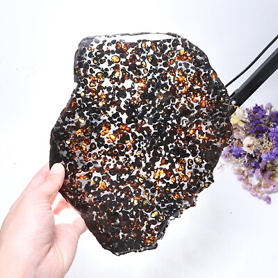 #ad 309g Beautiful SERICHO pallasite Meteorite slice from Kenya C4972 $741.60