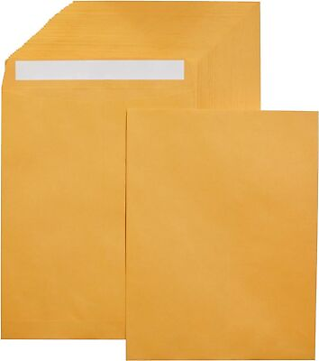 #ad Catalog Mailing Envelopes Peel and Seal 10x13 Inch Brown Kraft 250 Pack $48.25
