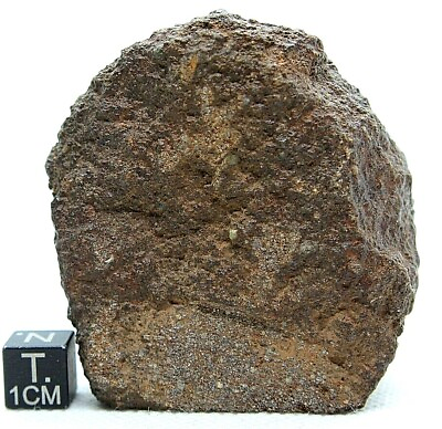 #ad meteorite incredible show piece meteorite 231 gram gorgeous meteorite SPACE $195.00