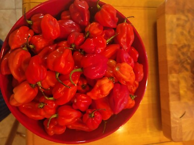 #ad 2 Pound Fresh Red Habanero Chili Peppers $29.99