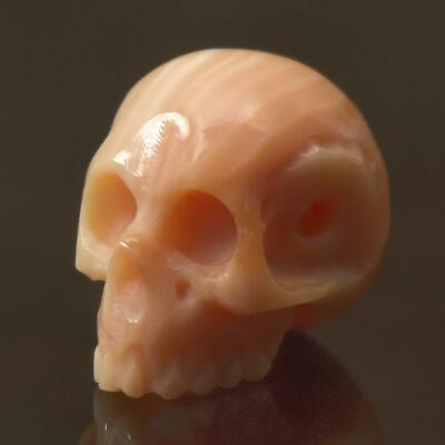 #ad 12.02mm Apricot Trumpet Shell Carving Bead Realistic Human Skull Handmade 1.64 g $18.00