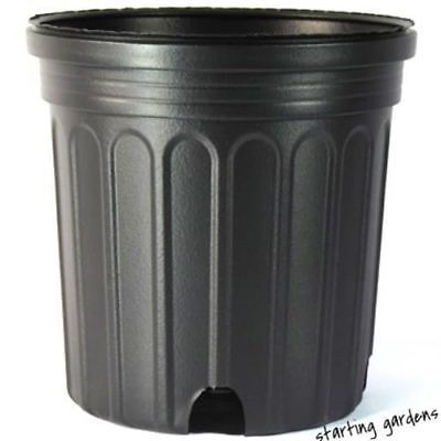 #ad 2 Gallon Nursery Pot Qty. 50 Black 2 Gallon Trade Greenhouse Containers $61.99