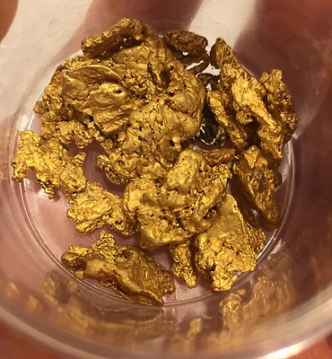 #ad Gold Paydirt 1 Lb 100% Unsearched and Guaranteed Added GOLD Panning Nugget $25.50