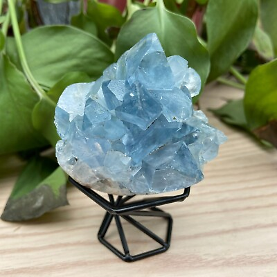 #ad 0.92LB Natural Blue Crystal Geode Quartz Crystal Specimen Reiki Healing $149.00