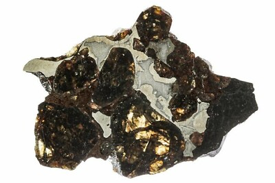 #ad 1.25quot; Polished Sericho Pallasite Meteorite 2.8 g Slice Kenya COA 5629 $99.95