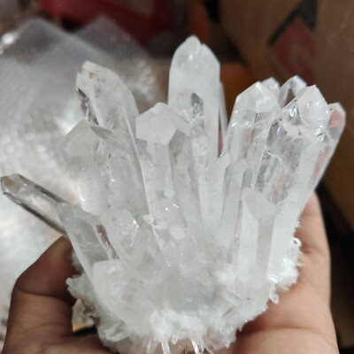 #ad 150g Large Natural White Clear Quartz Cluster Crystal Mineral Healing Rock Stone $11.59