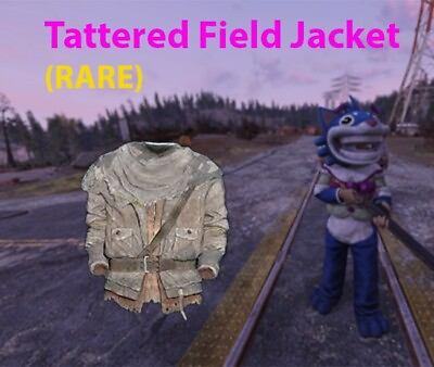 #ad ⭐⭐⭐ Tattered Field Jacket And Cap RARE PC $15.00
