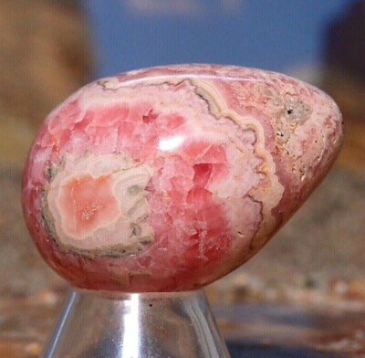 #ad Large Rhodochrosite Polished Egg Natural Raw Mineral Healing 89g GBP 252.24
