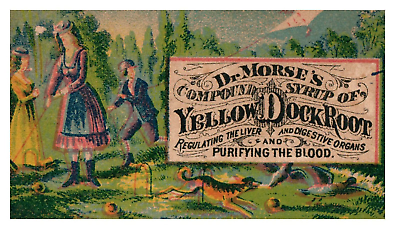 #ad Antique Trade Card Victorian Dr. Morse#x27;s Compound Syrup Yellow Dock Root Rare M4 $17.50