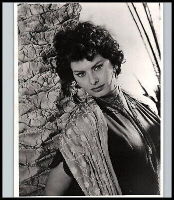 #ad Hollywood Beauty SOPHIA LOREN STYLISH POSE STUNNING PORTRAIT 1950s Photo 731 $44.99