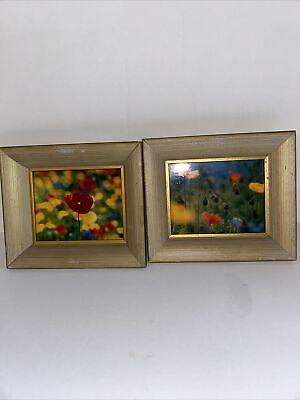#ad Set of 2 Small Framed Flower Prints $11.90