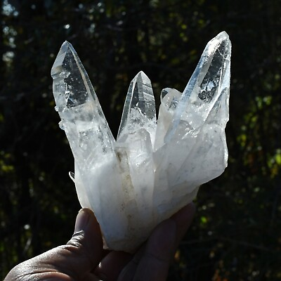 #ad HIMALAYAN WATER CLEAR LEMURIAN SEED NIRVANA FIRE AND ICE QUARTZ CRYSTAL CLUSTER $417.24