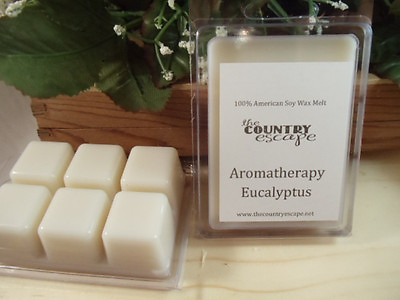 #ad Eucalyptus Essential Oil Scented Soy Wax Clamshell Tart $4.05