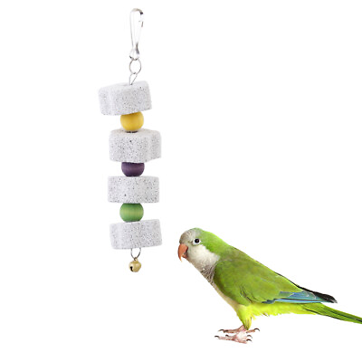 #ad Pet Bird Chew Toy Grinding Clean Tool for Chinchilla Squirrel Parrot $7.65