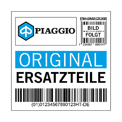 #ad Felge Piaggio vorne silber grau 3.00x13 für MP3 300 500 1C002667 EUR 145.20