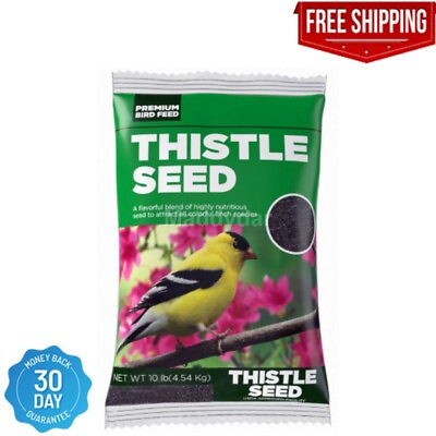 #ad Premium Natural Black Thistle Nyjer Seed Wild Bird Food 10 Lb Bag BrownBird $17.39