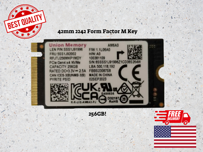 #ad OEM Union Memory 256GB M.2 PCI e GEN 4X4 NVME SSD Internal Solid State Drive $32.00