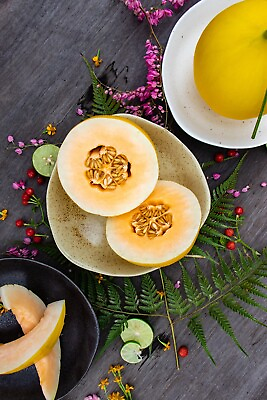 #ad Organic Yellow Honey Dew Melon 25 seeds fresh this season {VERY RARE amp; EXOTIC} $5.99