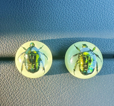 #ad Real Green Chafer Beetle Large Stud Earrings Glow Specimen Gothic Earrings $15.99